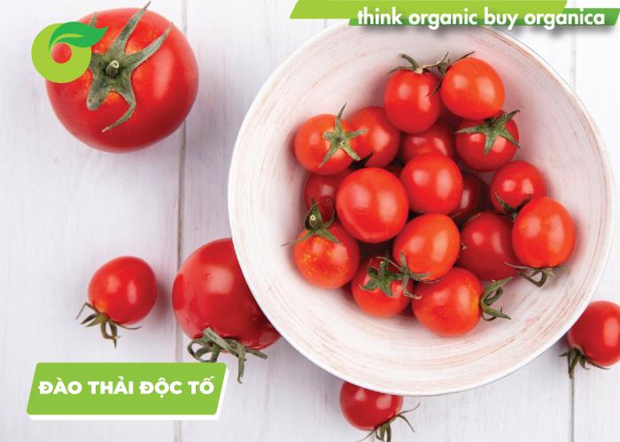 Cà chua bi giúp đào thải độc tố trong cơ thể